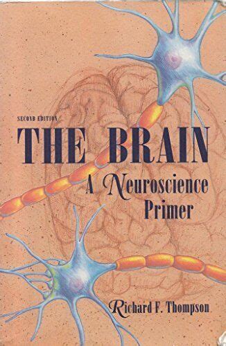 the brain a neuroscience primer Kindle Editon