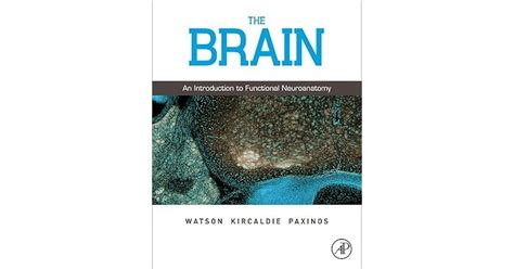 the brain an introduction to functional neuroanatomy Epub