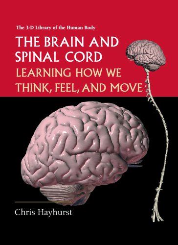 the brain and spinal cord learning how we think feel and move 3 d library of the human body PDF