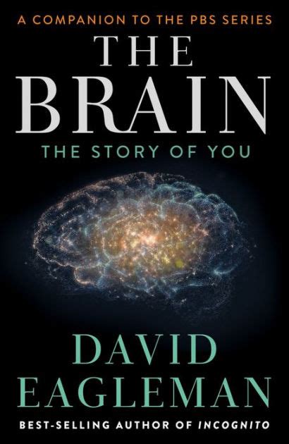 the brain the story of you PDF