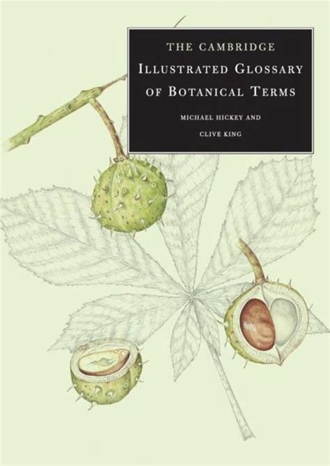 the cambridge illustrated glossary of botanical terms Doc