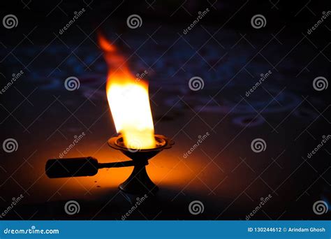 the camphor flame the camphor flame Epub