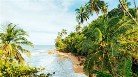 the caribbean of costa rica live and invest on the last frontier PDF