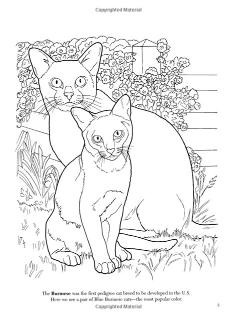 the cat lovers coloring book dover nature coloring book Epub