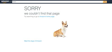 The Catalog Amazon Com Page Cannot Be Found
