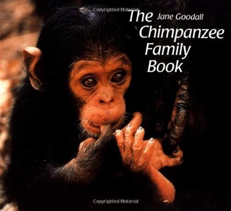 the chimpanzee family book animal family series Doc