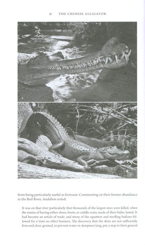 the chinese alligator ecology behavior conservation and culture Epub