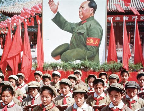 the chinese cultural revolution read PDF