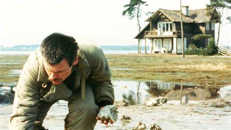 the cinema of tarkovsky the cinema of tarkovsky PDF