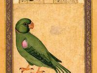 the cleveland museum of arts tutinamatales of a parrot Kindle Editon