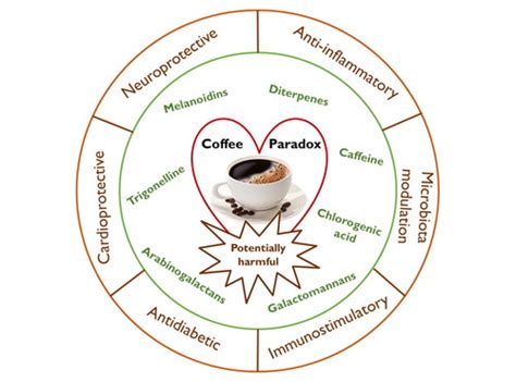 the coffee paradox the coffee paradox Epub