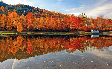 the colors of fall a celebration of new englands foliage season Doc