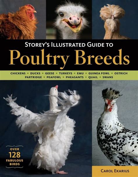 the complete guide to poultry breeds the complete guide to poultry breeds Doc