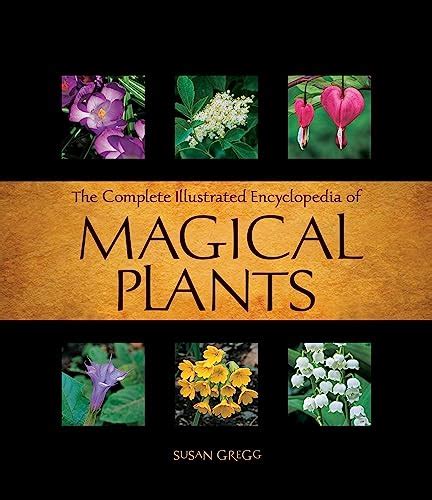 the complete illustrated encyclopedia of magical plants revised the complete illustrated encyclopedia of magical plants revised PDF