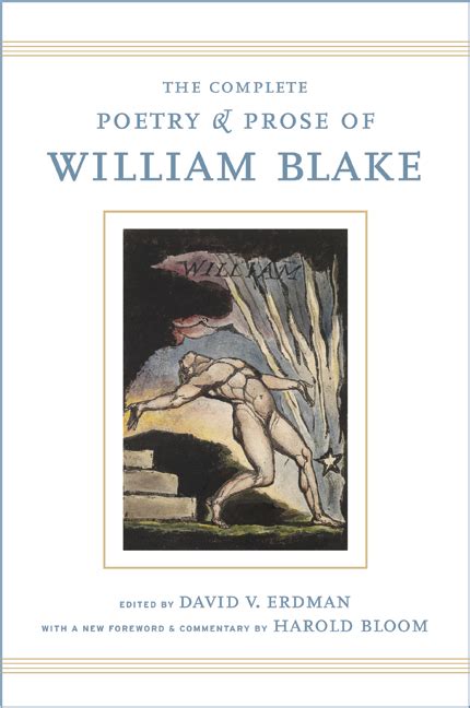 the complete poetry and prose of william blake Reader