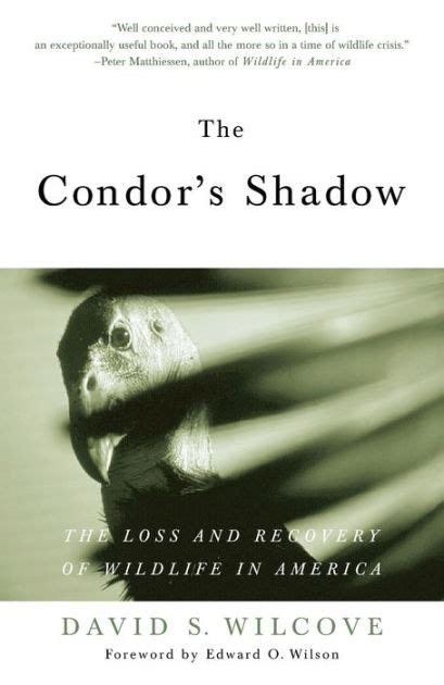 the condors shadow the loss and recovery of wildlife in america Doc