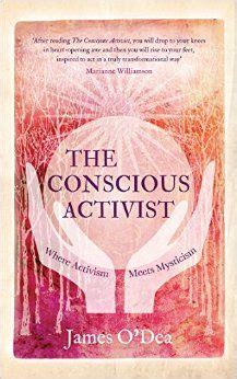 the conscious activist where activism meets mysticism PDF