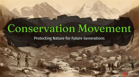 the conservation movement the conservation movement Doc