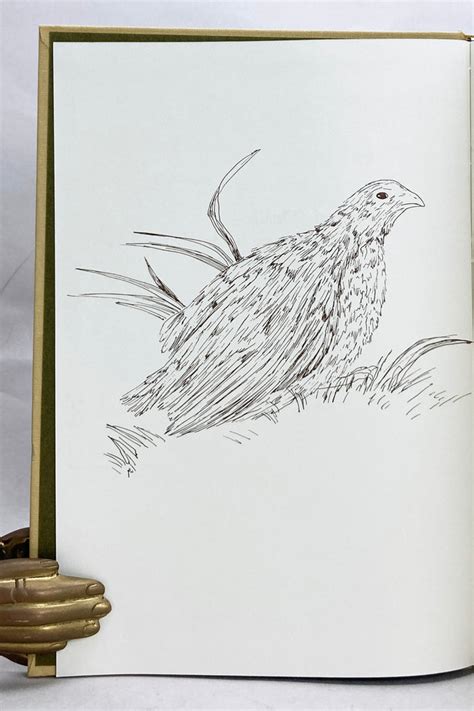 the coturnix quail anatomy and histology Reader