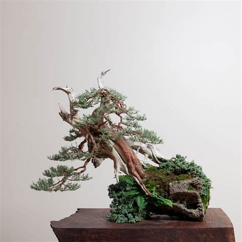 the creative art of bonsai Kindle Editon