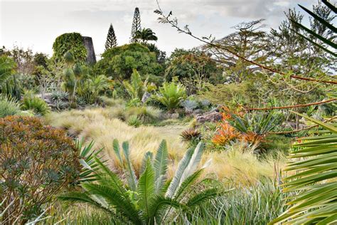 the cultivated wild gardens and landscapes by raymond jungles Reader