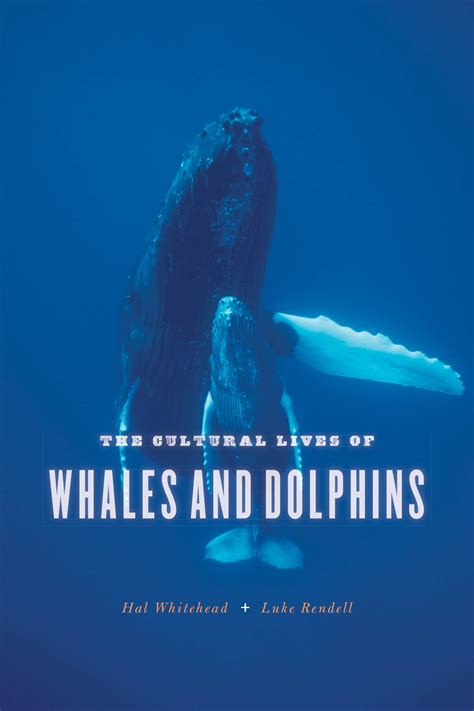 the cultural lives of whales and dolphins PDF