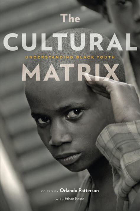 the cultural matrix understanding black youth Reader