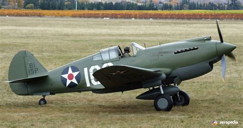 the curtiss p 40 tomahawk PDF
