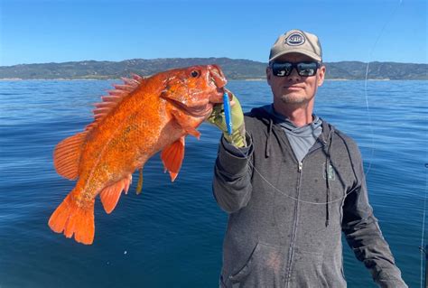 the definitive guide to fishing in southern california Reader