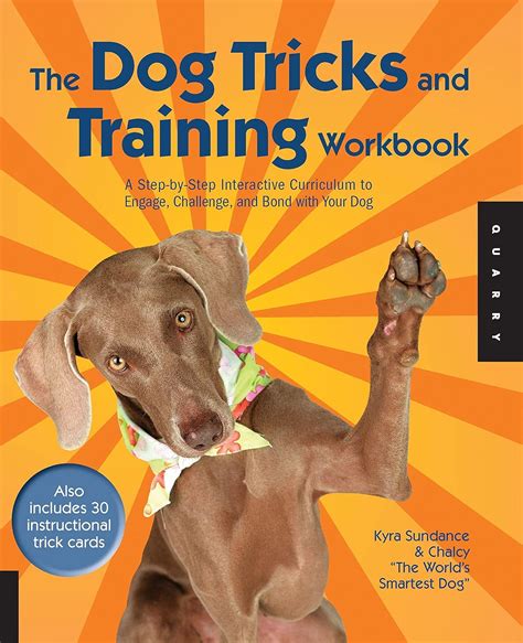 the dog tricks and training workbook the dog tricks and training workbook Doc