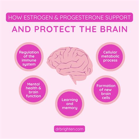 the effects of estrogen on brain function Epub