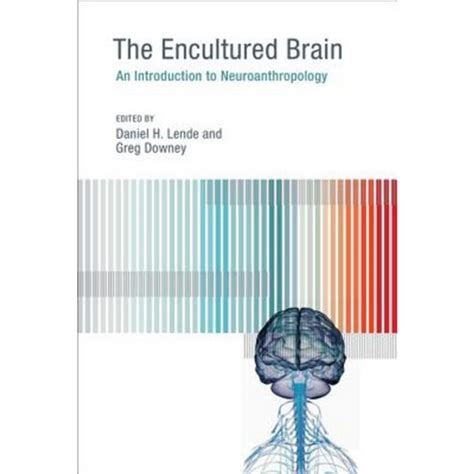 the encultured brain an introduction to neuroanthropology PDF