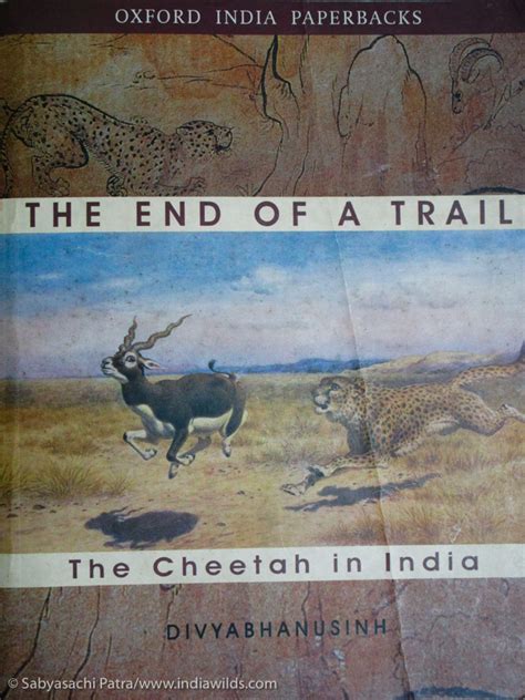 the end of a trail the cheetah in india oxford india paperbacks Reader