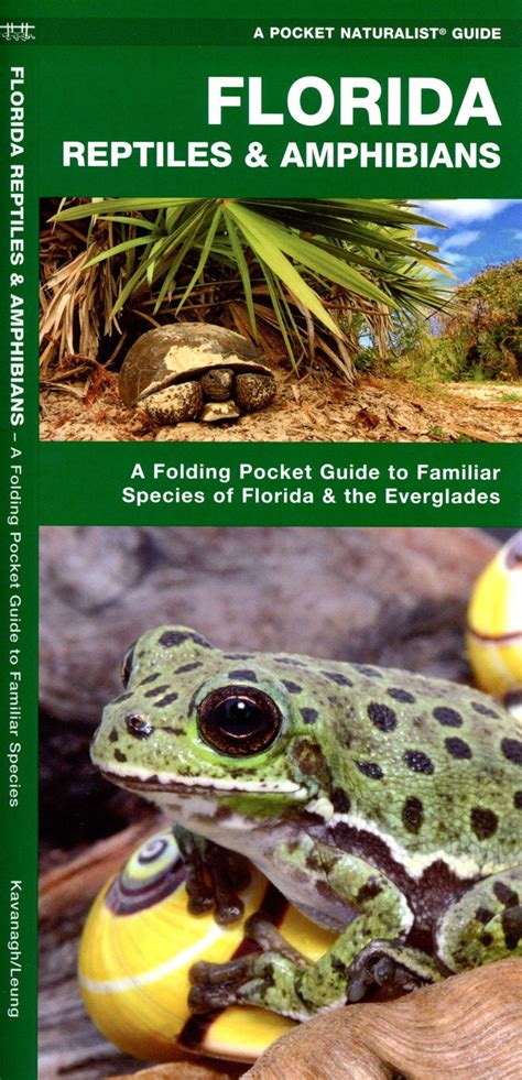 the exotic amphibians and reptiles of florida PDF