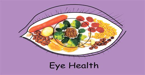 the eye and nutrition the eye and nutrition Kindle Editon