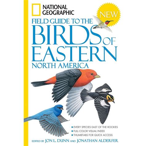 the feather quest a north american birders year Reader