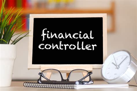 the financial controller and cfo Kindle Editon
