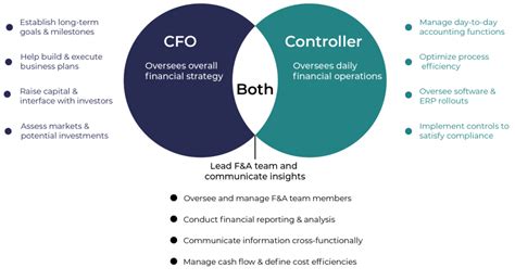 the financial controller and cfo Kindle Editon