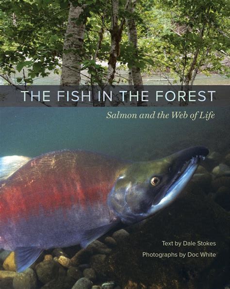 the fish in the forest salmon and the web of life PDF