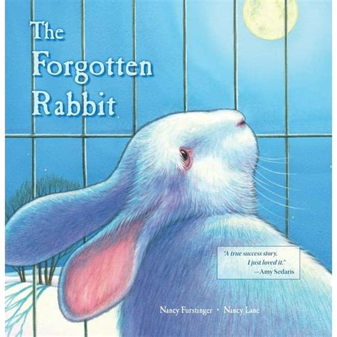 the forgotten rabbit Reader
