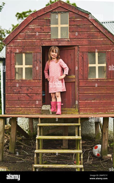 the girl in the shed the girl in the shed Kindle Editon