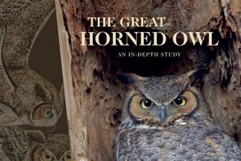 the great horned owl an in depth study Reader
