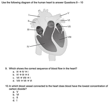 the heart the questions and answers book for kids PDF