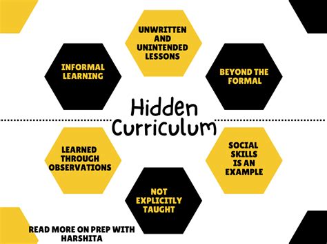 the hidden curriculum in higher education PDF