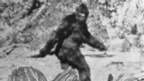 the historical bigfoot PDF