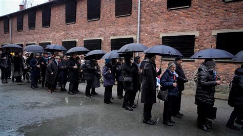 the holocaust survivors holocaust remembered Reader