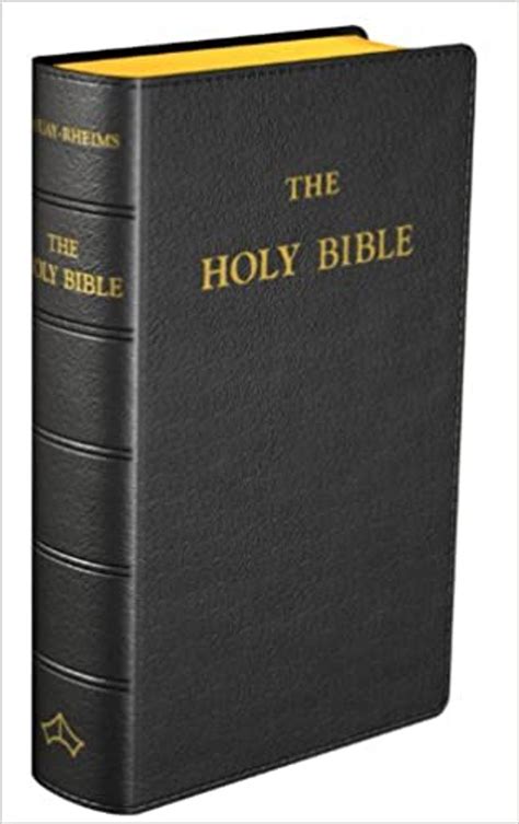 the holy bible douay rheims version Reader