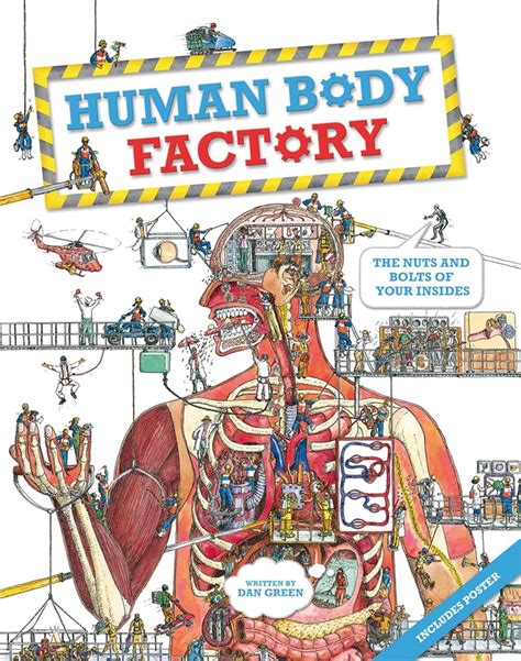 the human body factory the nuts and bolts of your insides Doc