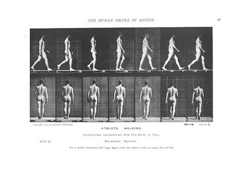 the human figure in motion the human figure in motion Epub
