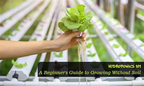 the hydroponic garden growing without soil a guide to hydroponics Kindle Editon